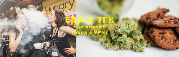 крисы Бородино