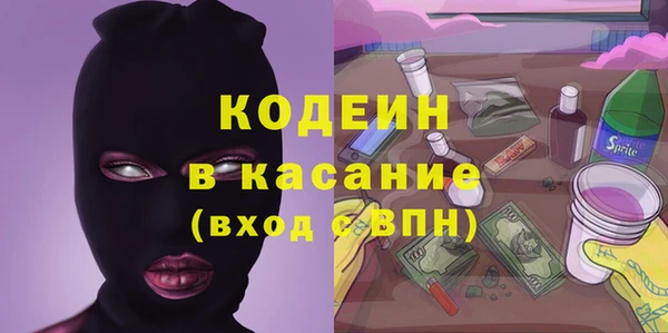 крисы Бородино