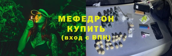 крисы Бородино