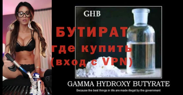 крисы Бородино