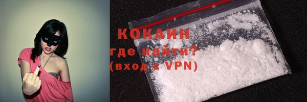 крисы Бородино