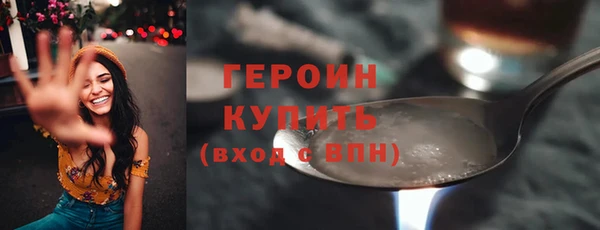 крисы Бородино
