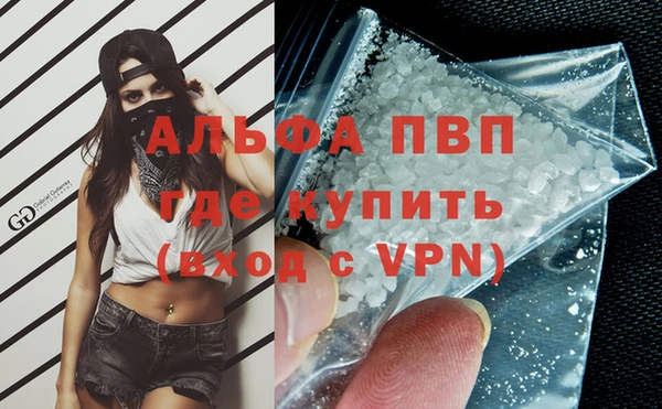 крисы Бородино