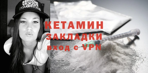крисы Бородино