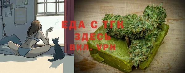 крисы Бородино