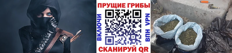 Купить  Трубчевск  Псилоцибиновые грибы MAGIC MUSHROOMS 