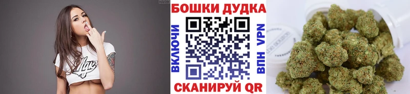 Бошки Шишки планчик  Купить закладки  Трубчевск 